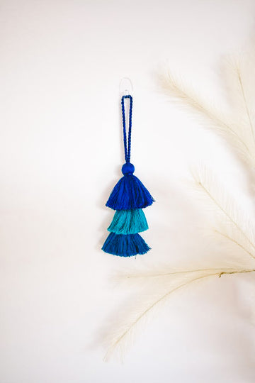 tassel handbag accessorie